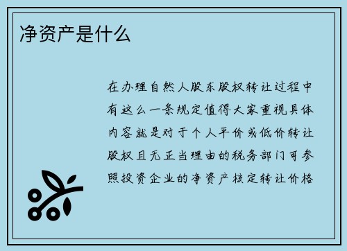 净资产是什么