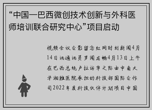 “中国—巴西微创技术创新与外科医师培训联合研究中心”项目启动